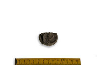 F 00330 01
<br/>
<br/>
<em></em>